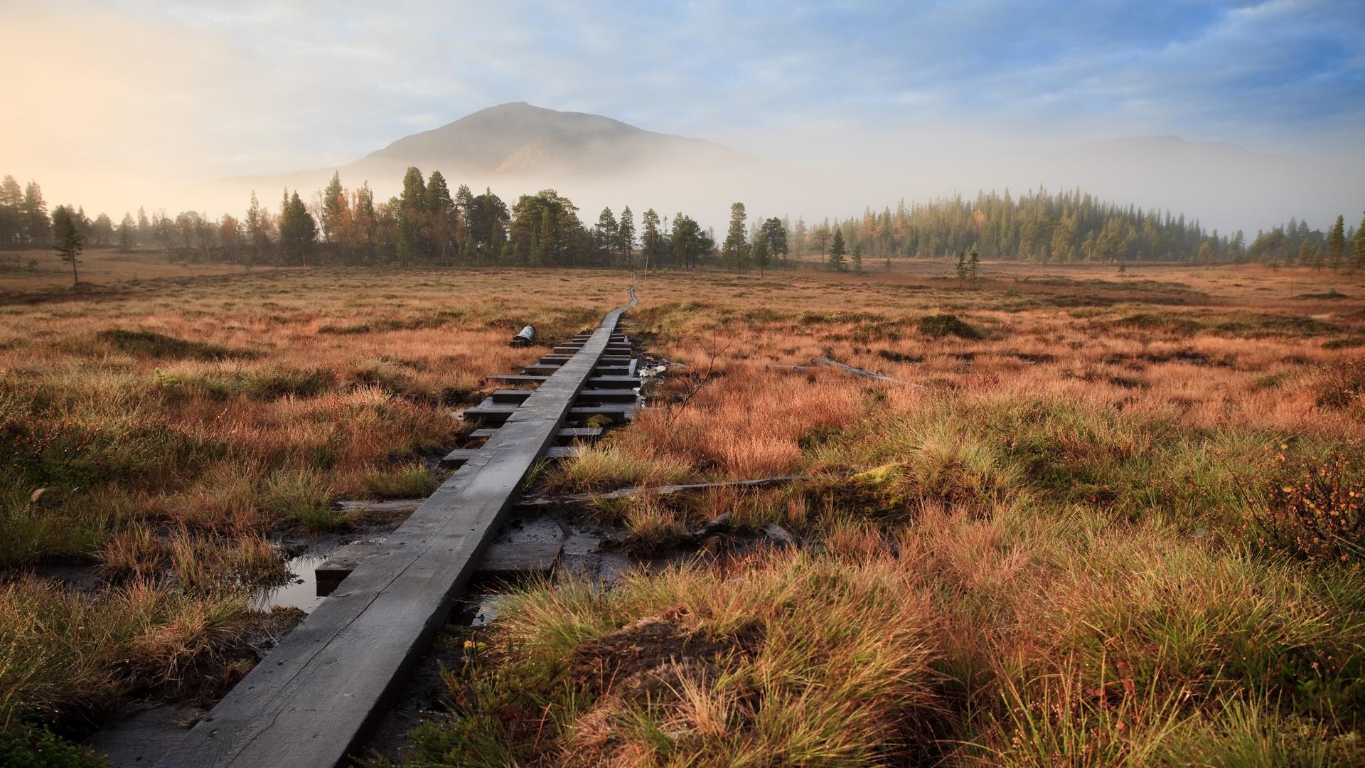 En spång som ligger på en fjällmyr i ett höstlandskap.