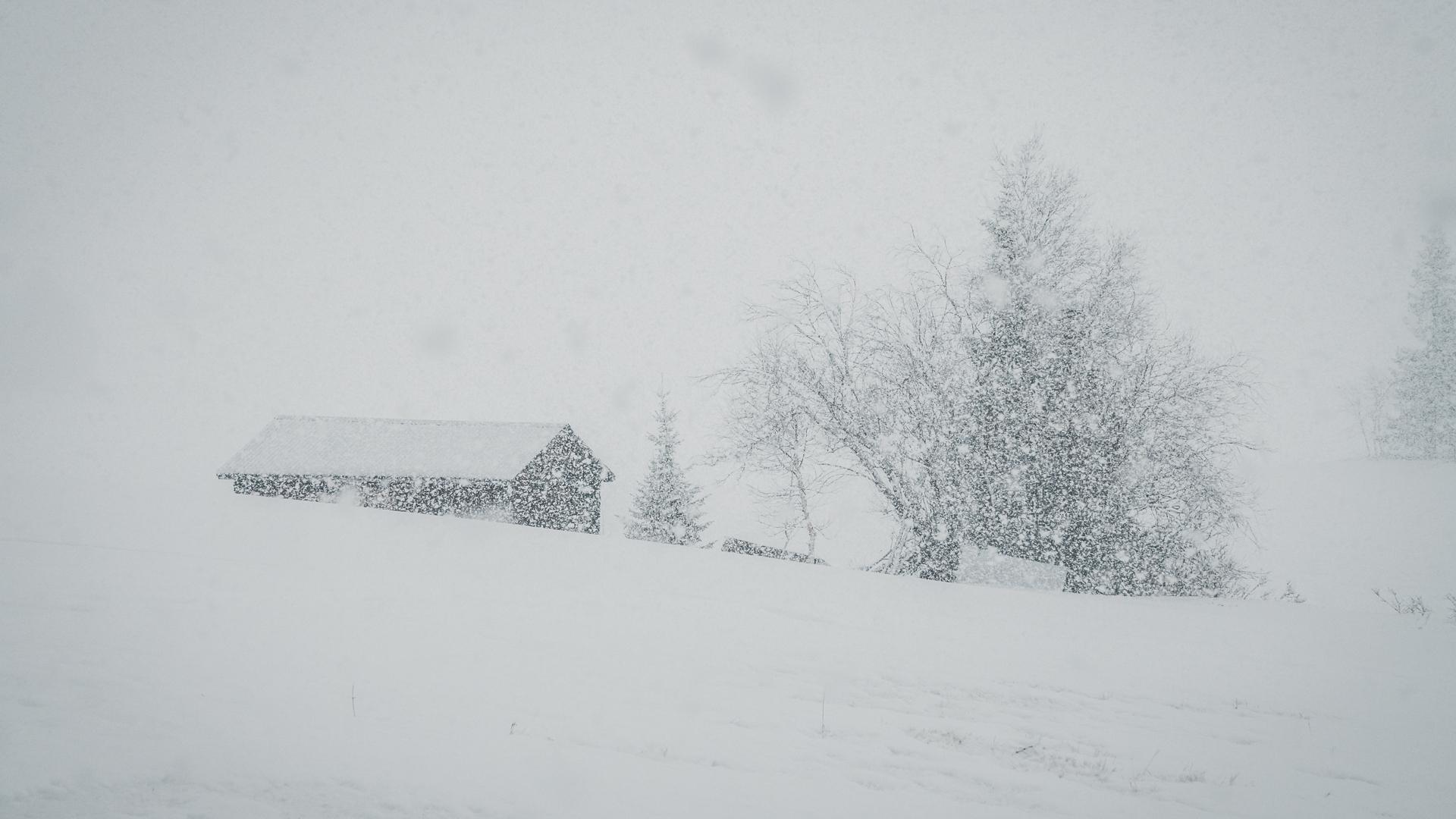 Snöoväder på en lägda där man kan urskilja en lada och några träd.