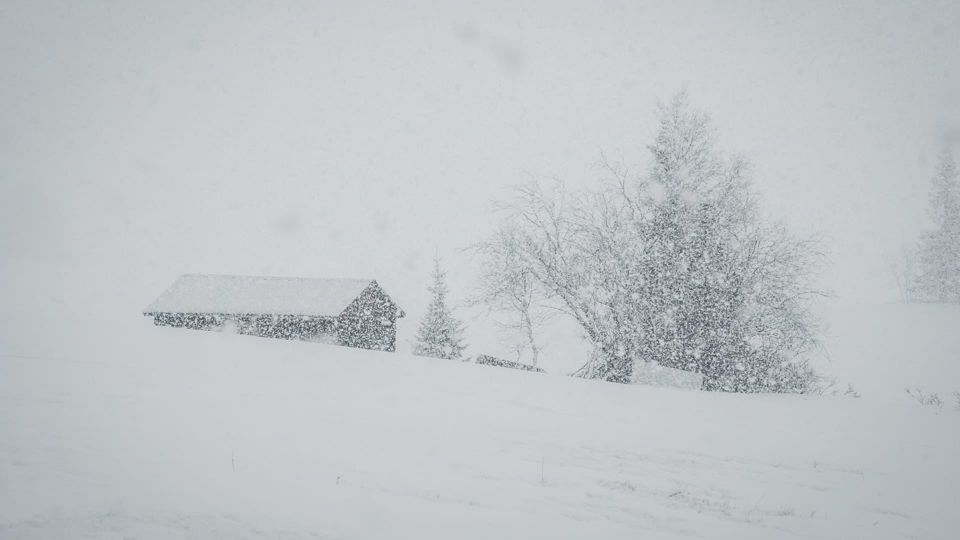 Snöoväder på en lägda där man kan urskilja en lada och några träd.