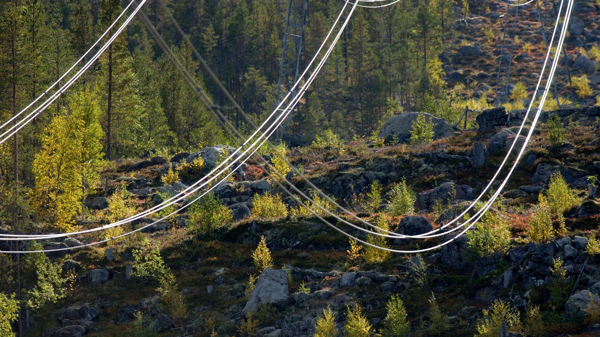 En elledning hänger i luften.