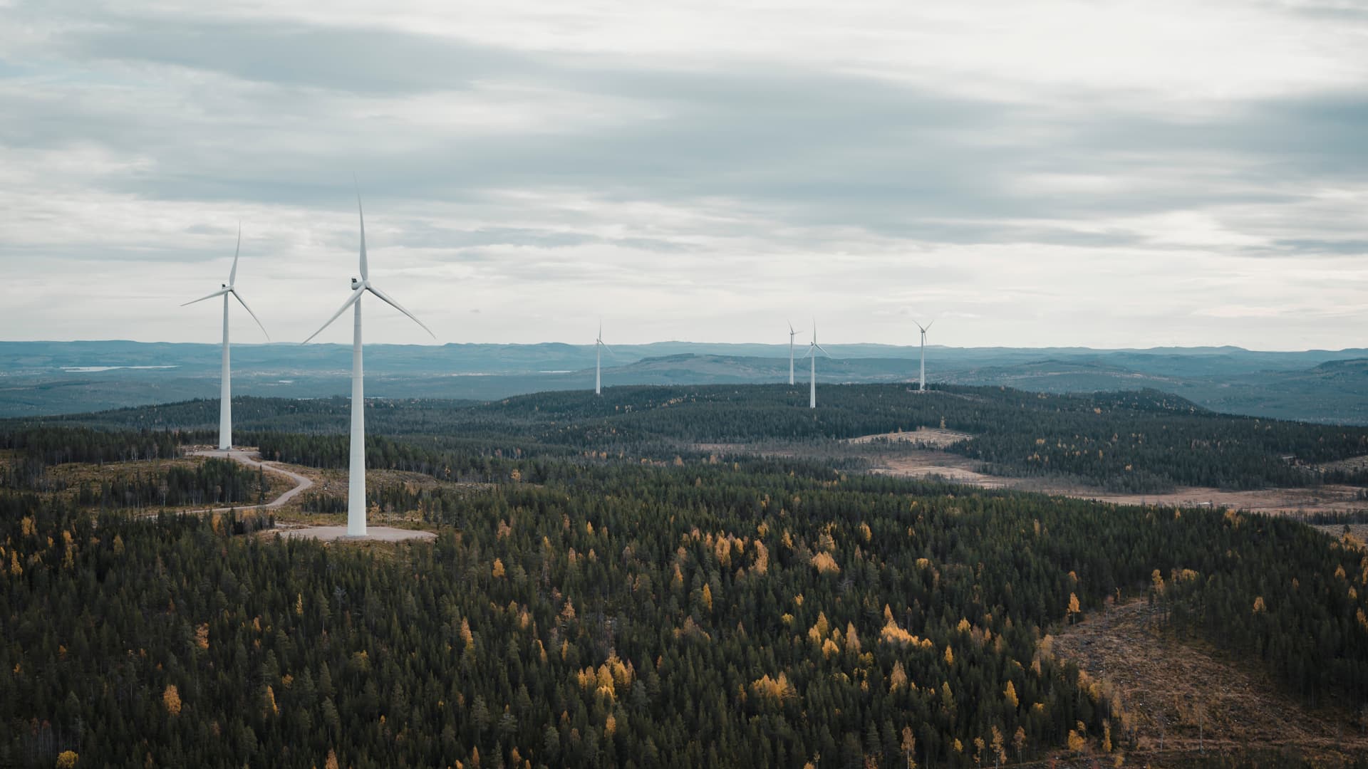 Utsikt över berg och skog med flera vindkraftverk
