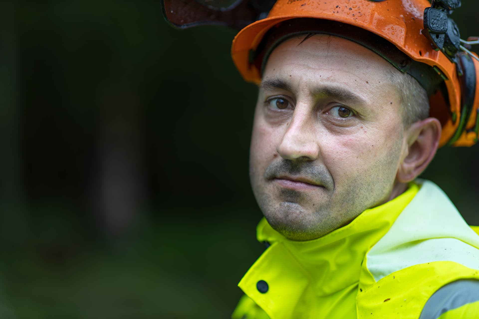 Petronel Rascanu, RMV Skog AB