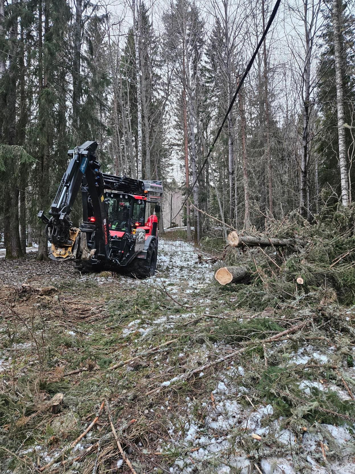 Kapning och av träd efter storm
