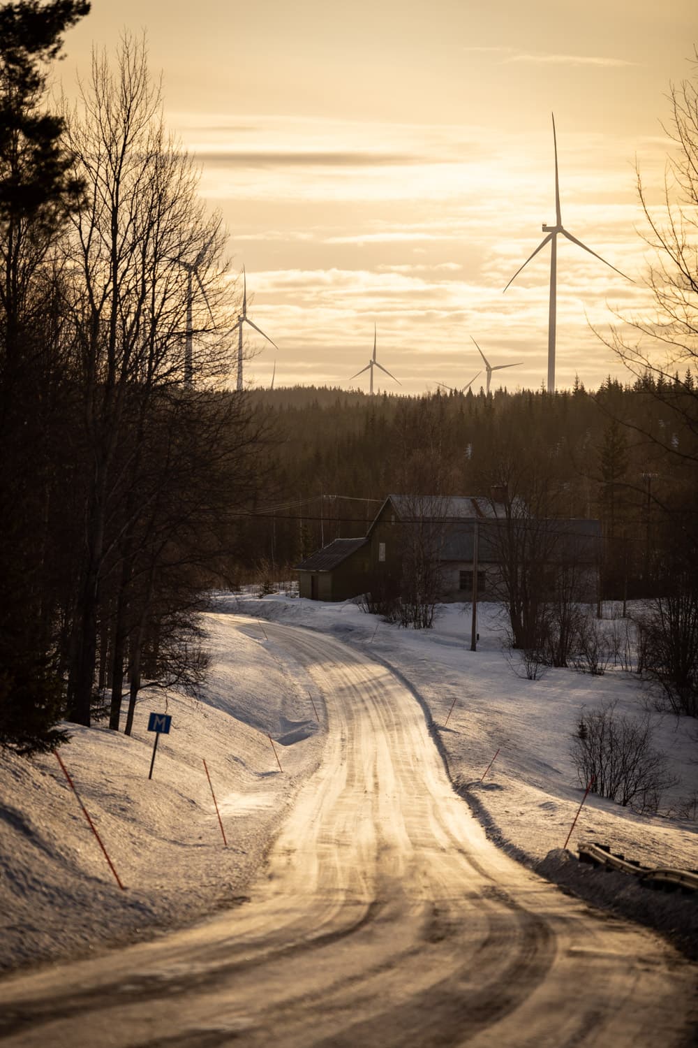 Av det 24 kilometer långa vägnätet inne i området har 16 kilometer befintlig skogsbilväg förstärkts och 8 kilometer ny väg byggts. Vägarna kan i framtiden även användas av de som bor och driver verksamhet i områdena runtomkring.