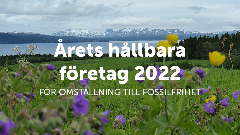 Årets hållbara företag 2022.