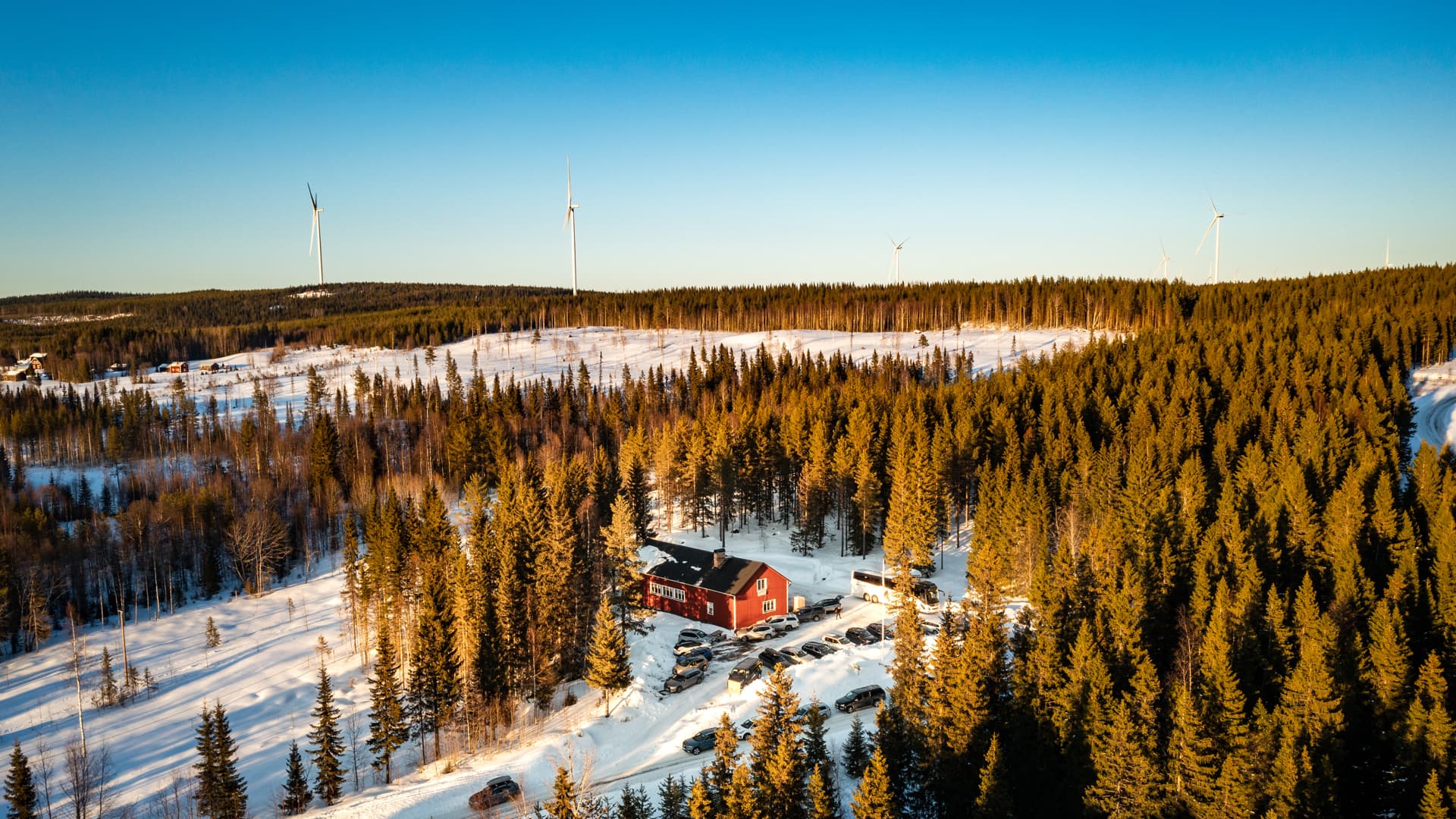 Drönarbild över Hocksjön vindpark.