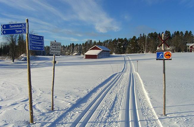 Längdskidspåren i Löfsåsen