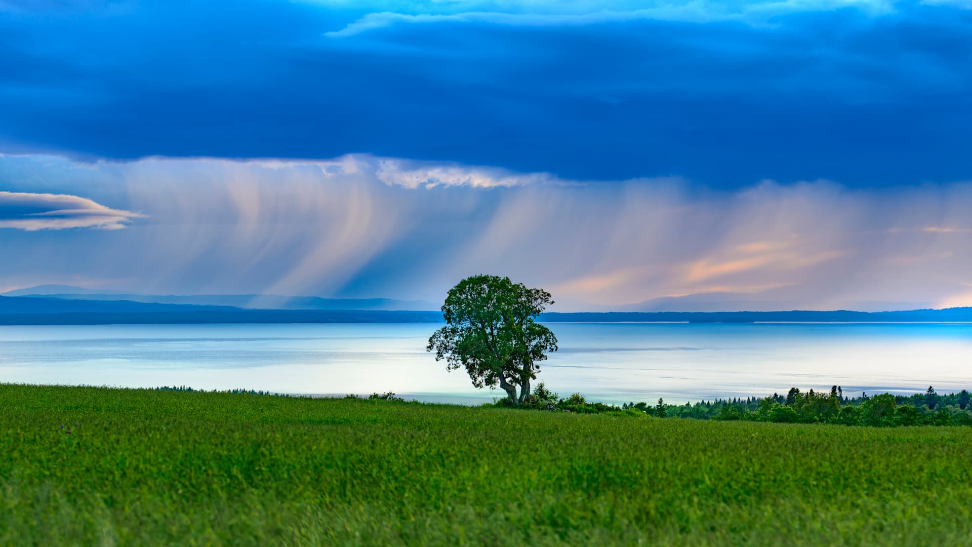 Landskapsbild. En grön äng, med ett träd, blått vatten och mörkt blå himmel med regnskurar.